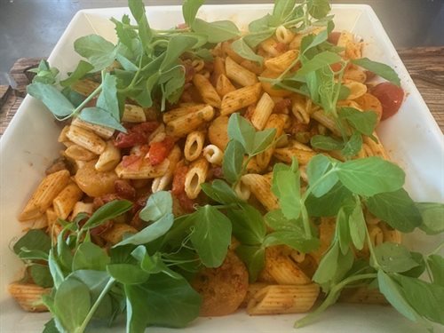 Rød Pastasalat